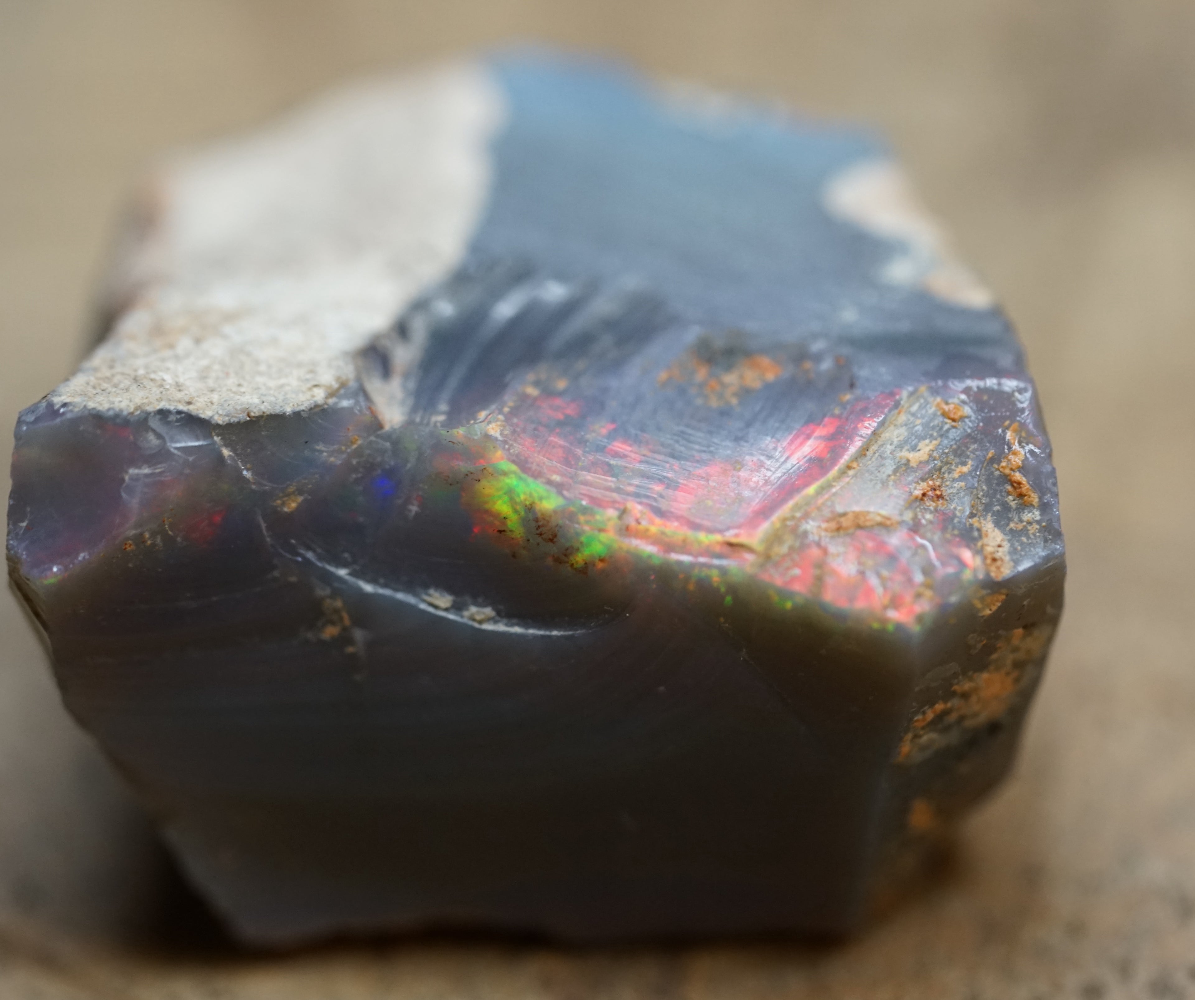 Black Lambina Specimen - 83 Carats. 0007