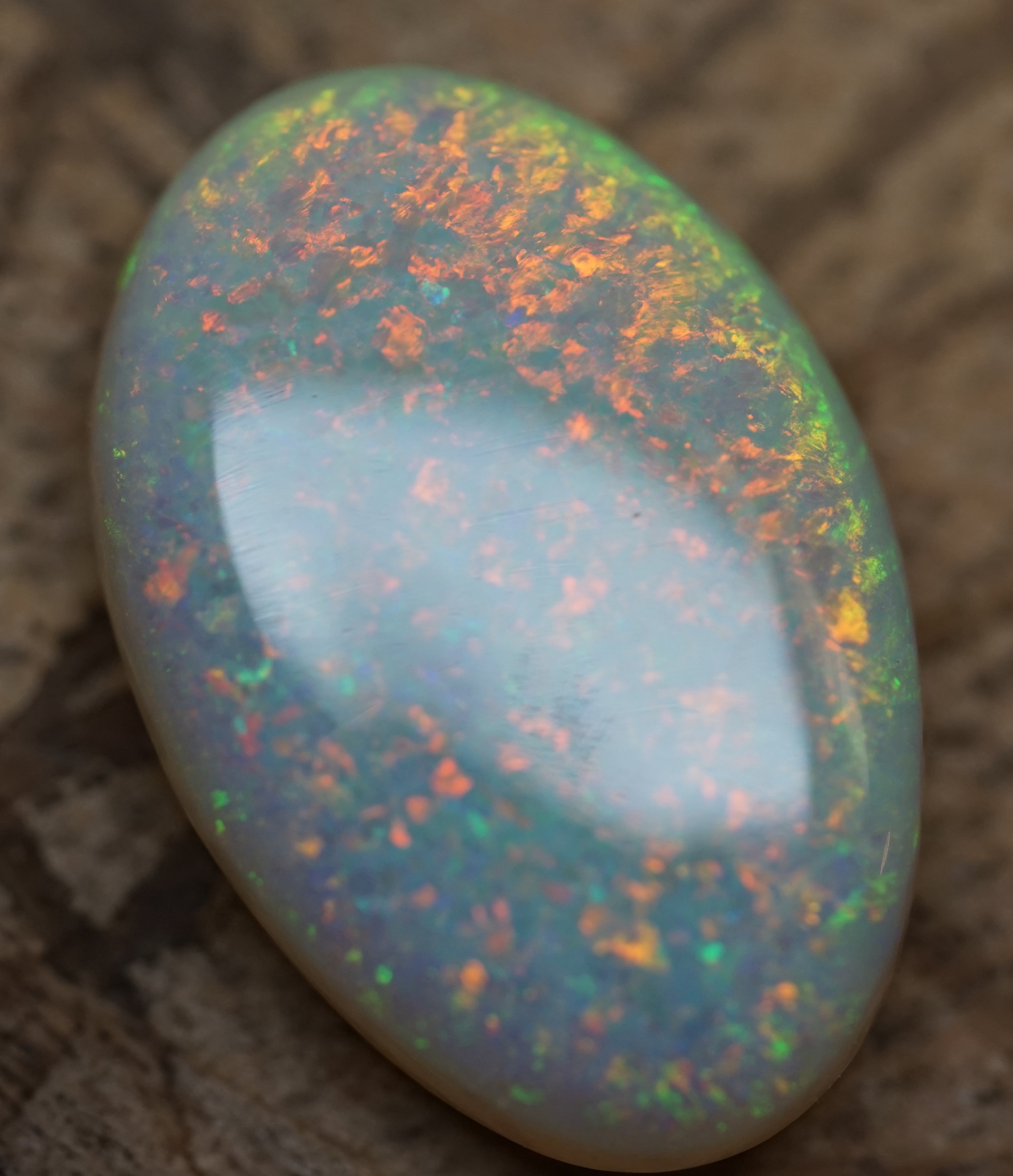 Lambina Gold High Dome Stone - 9.5 Carats. 0045