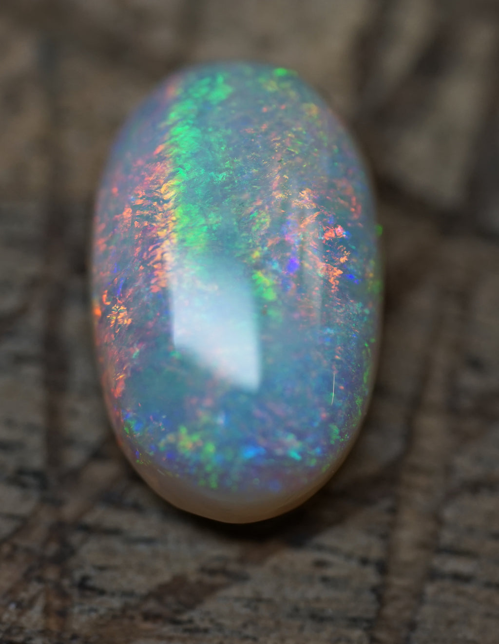 Belemnite Pendant Stone - 3.5 Carats. 0005
