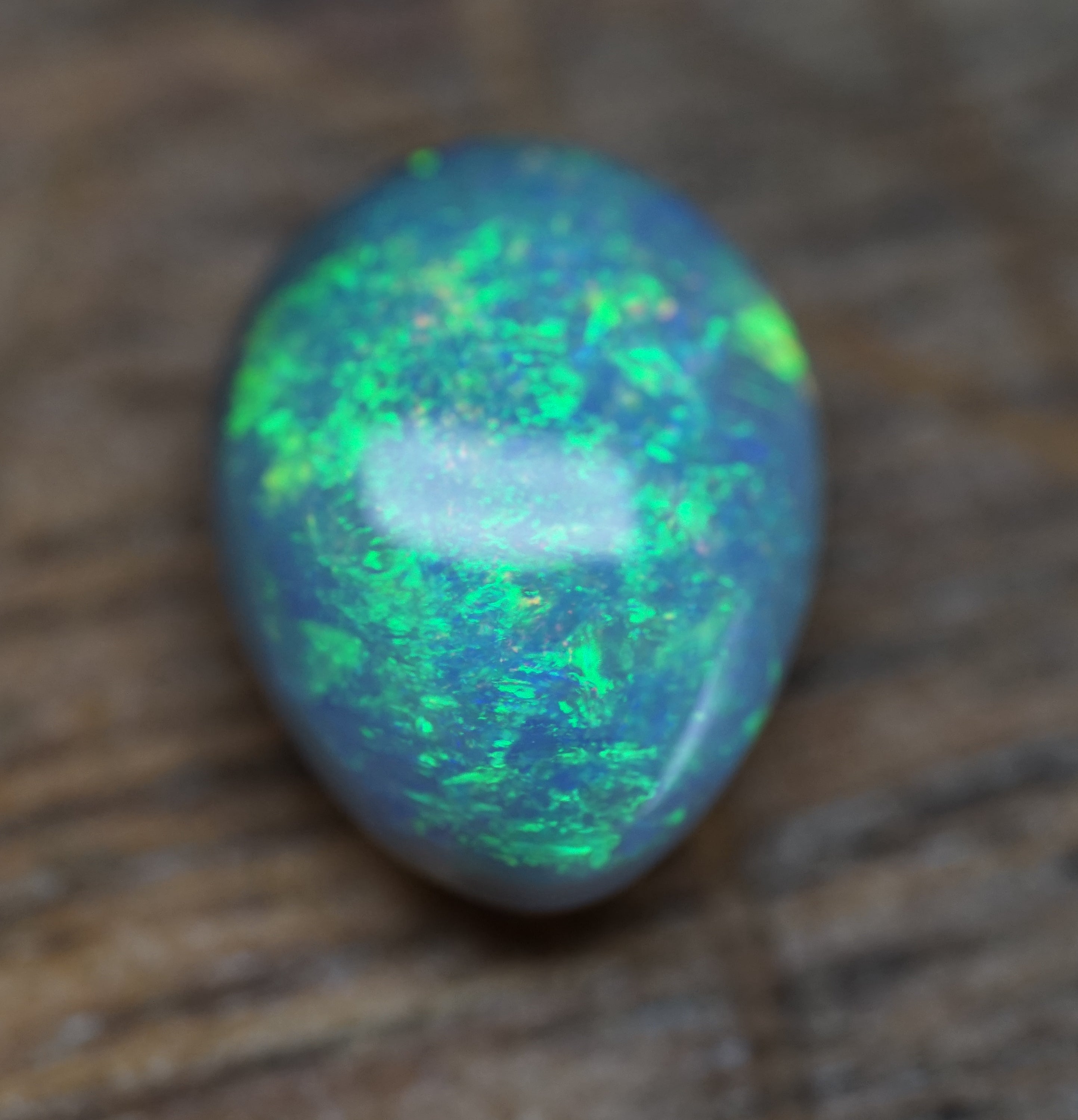 Lambina High Dome Dark Base Opal - 6.7 Carats. 0046