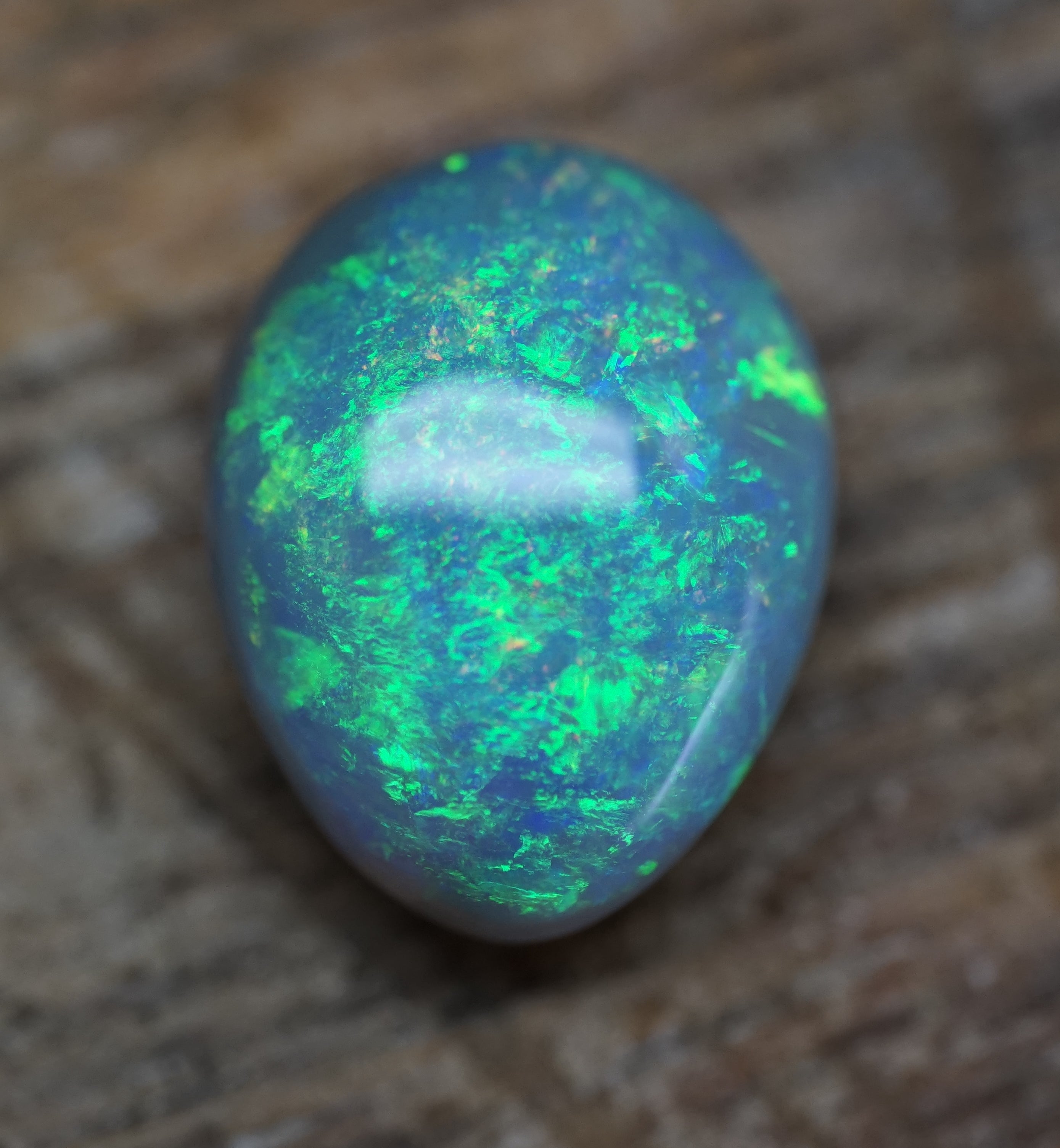 Lambina High Dome Dark Base Opal - 6.7 Carats. 0046