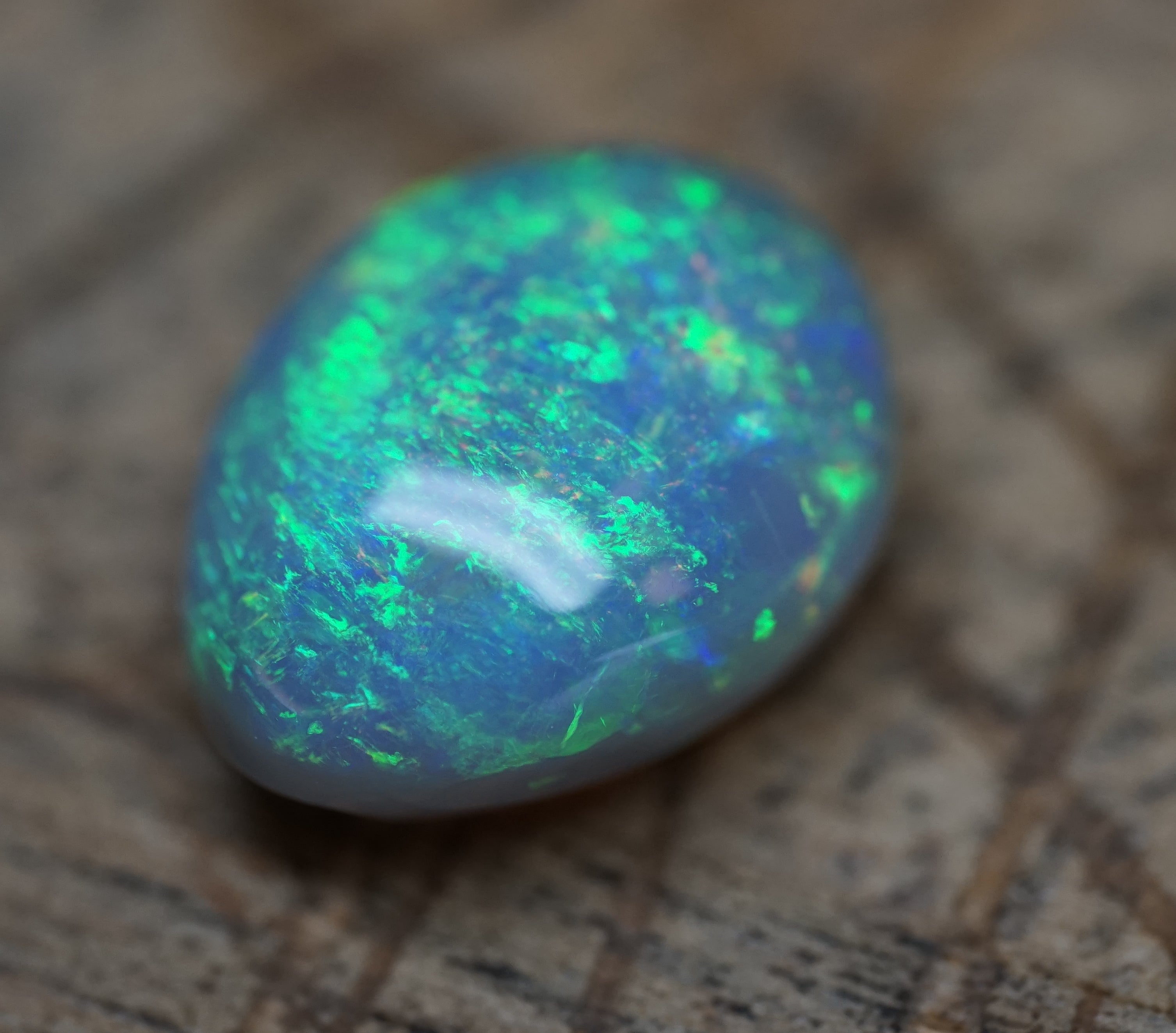 Lambina High Dome Dark Base Opal - 6.7 Carats. 0046