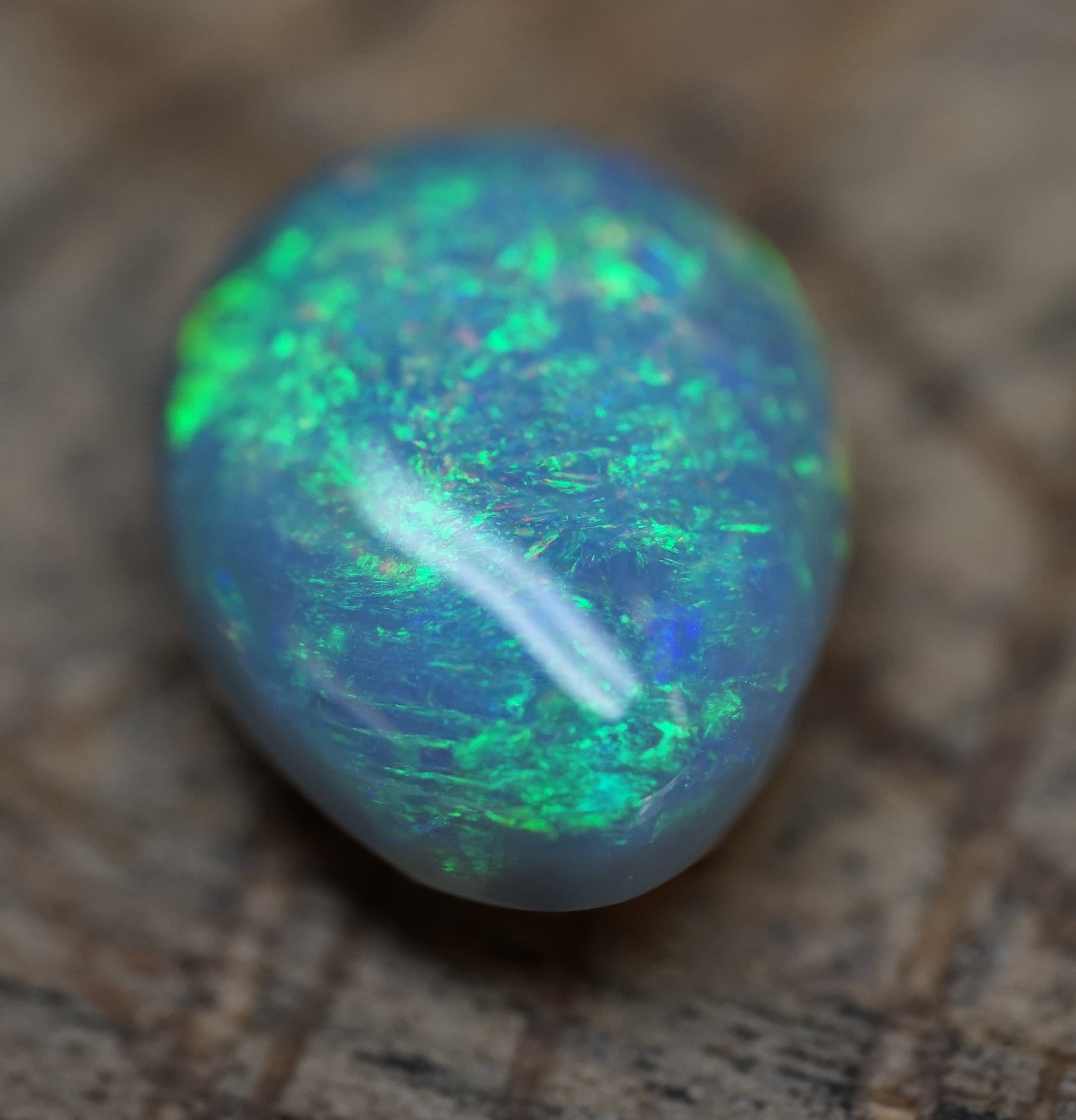 Lambina High Dome Dark Base Opal - 6.7 Carats. 0046