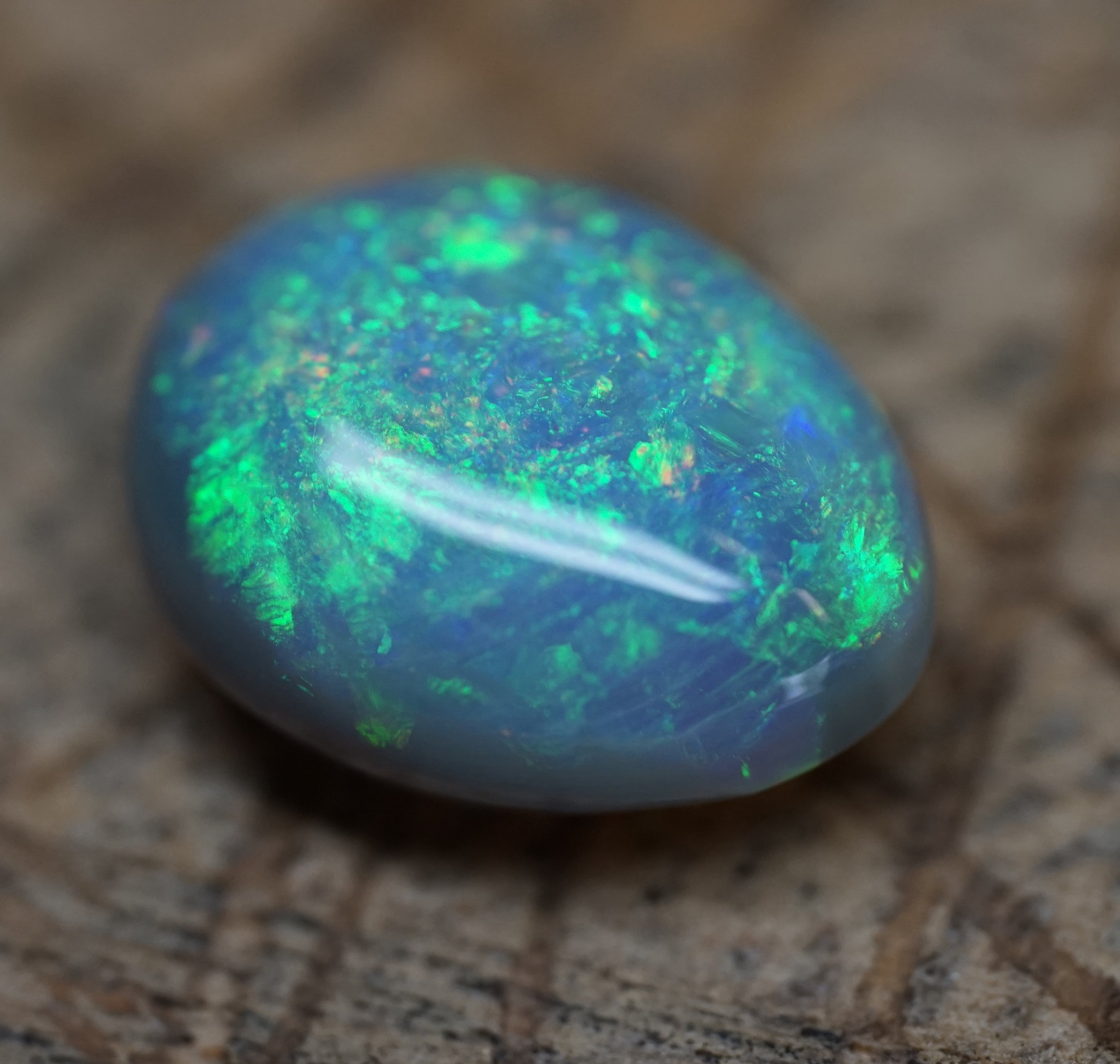 Lambina High Dome Dark Base Opal - 6.7 Carats. 0046