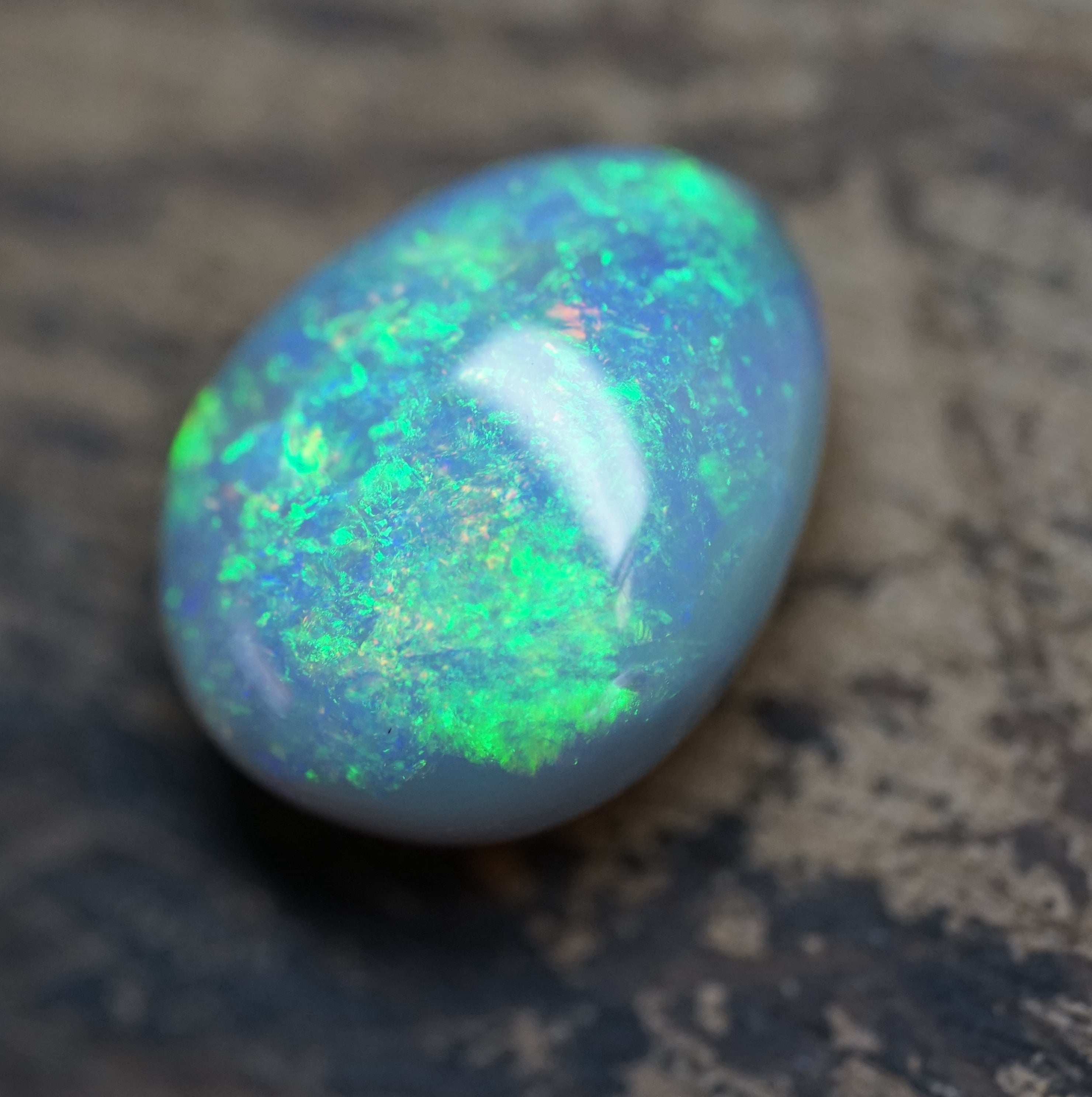 Lambina High Dome Dark Base Opal - 6.7 Carats. 0046