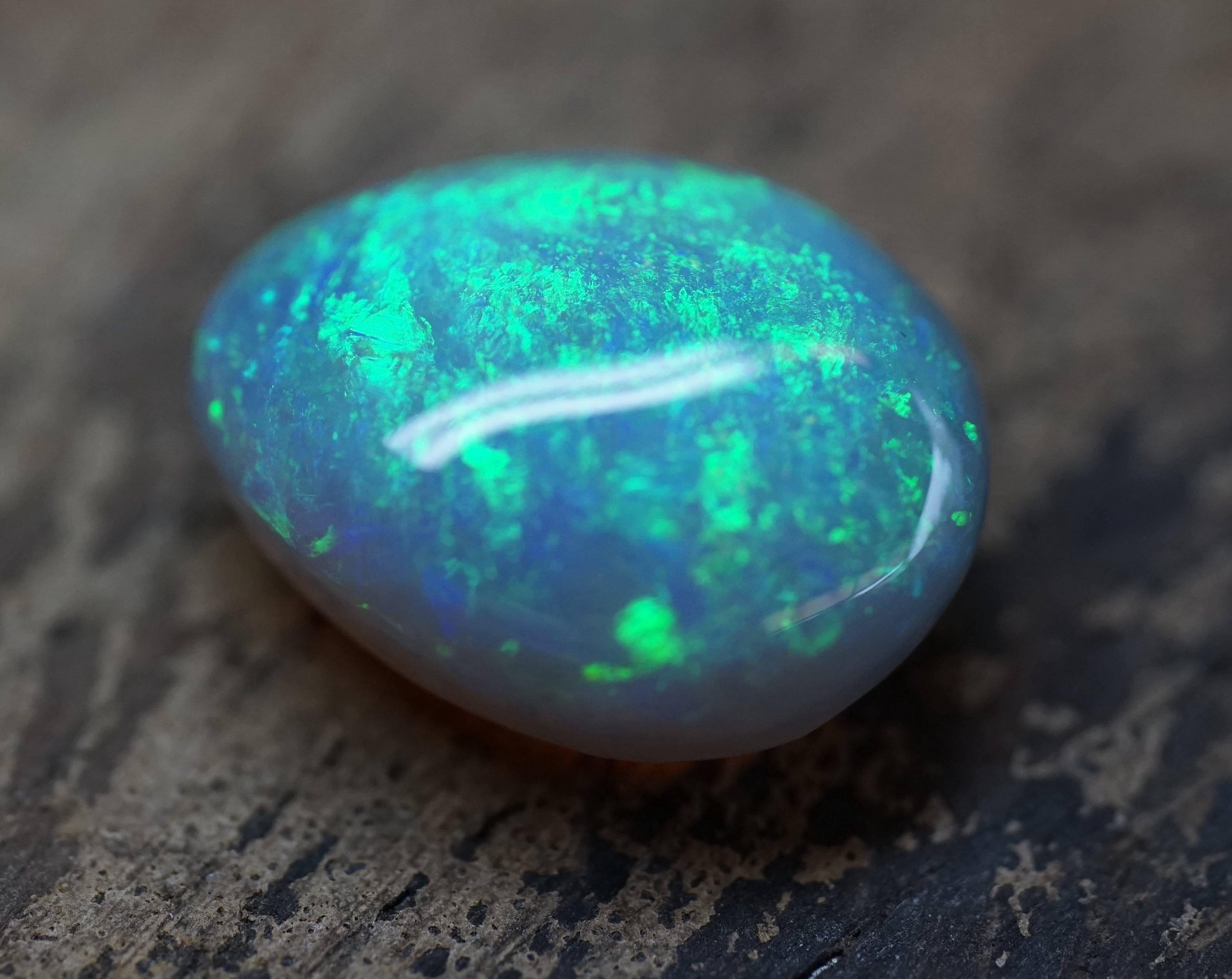 Lambina High Dome Dark Base Opal - 6.7 Carats. 0046
