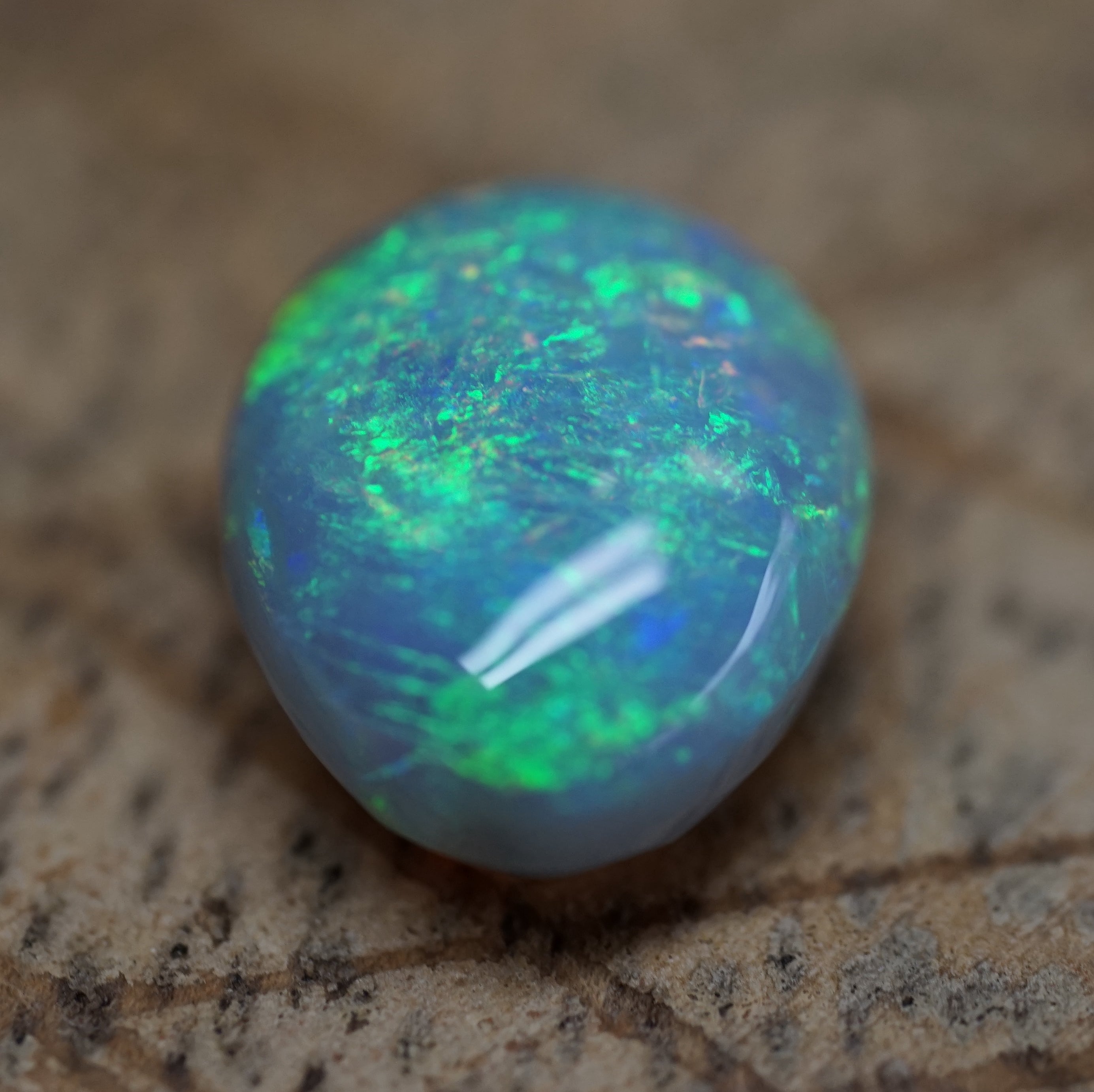 Lambina High Dome Dark Base Opal - 6.7 Carats. 0046