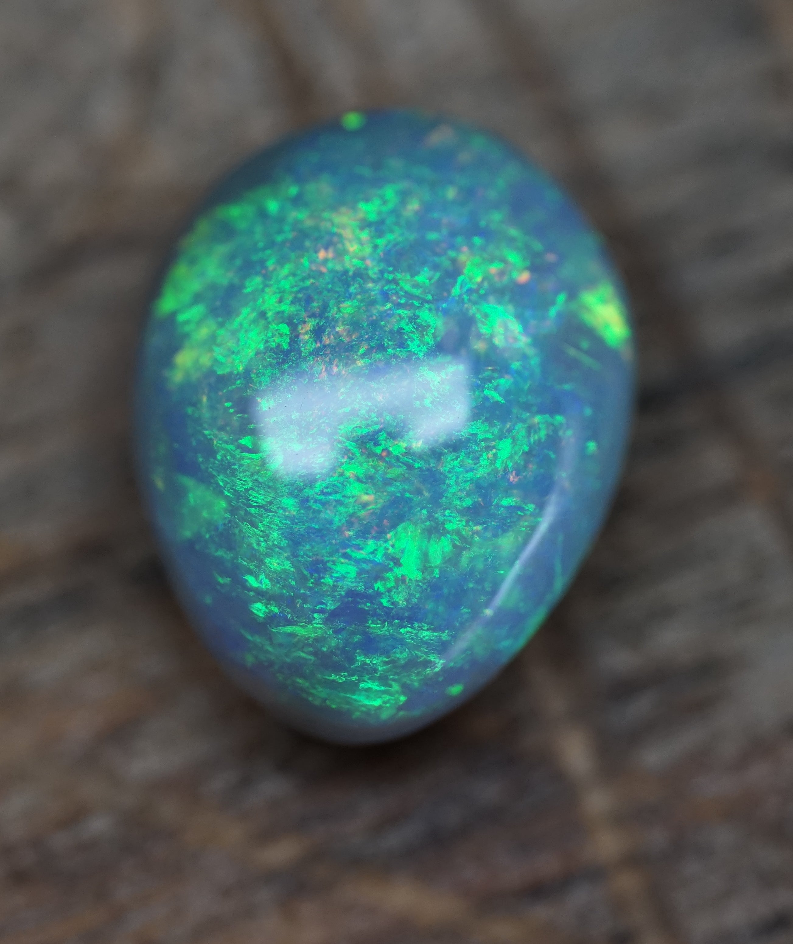 Lambina High Dome Dark Base Opal - 6.7 Carats. 0046